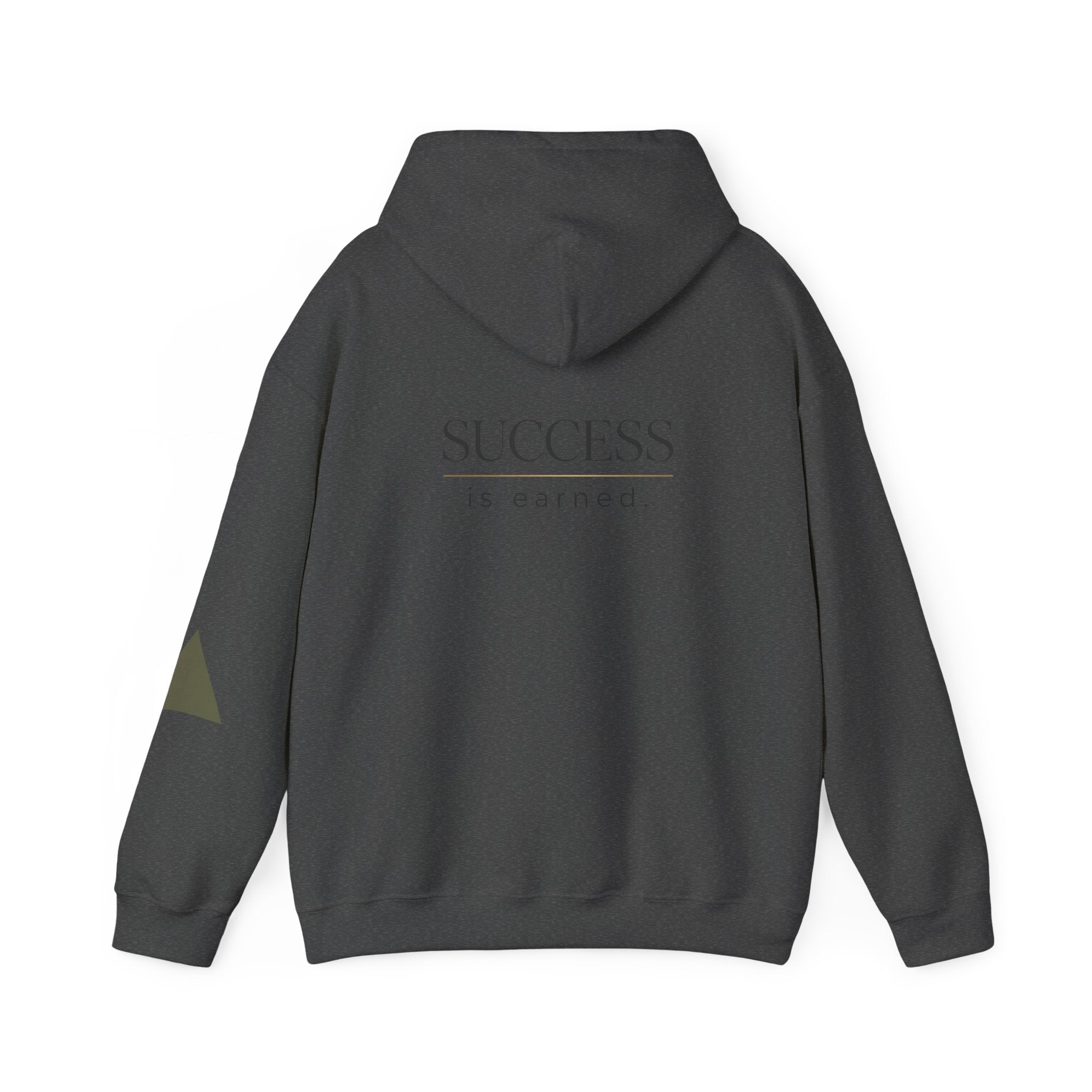 Built Different Hoodie — "Success Is Earned" Motivational Pullover