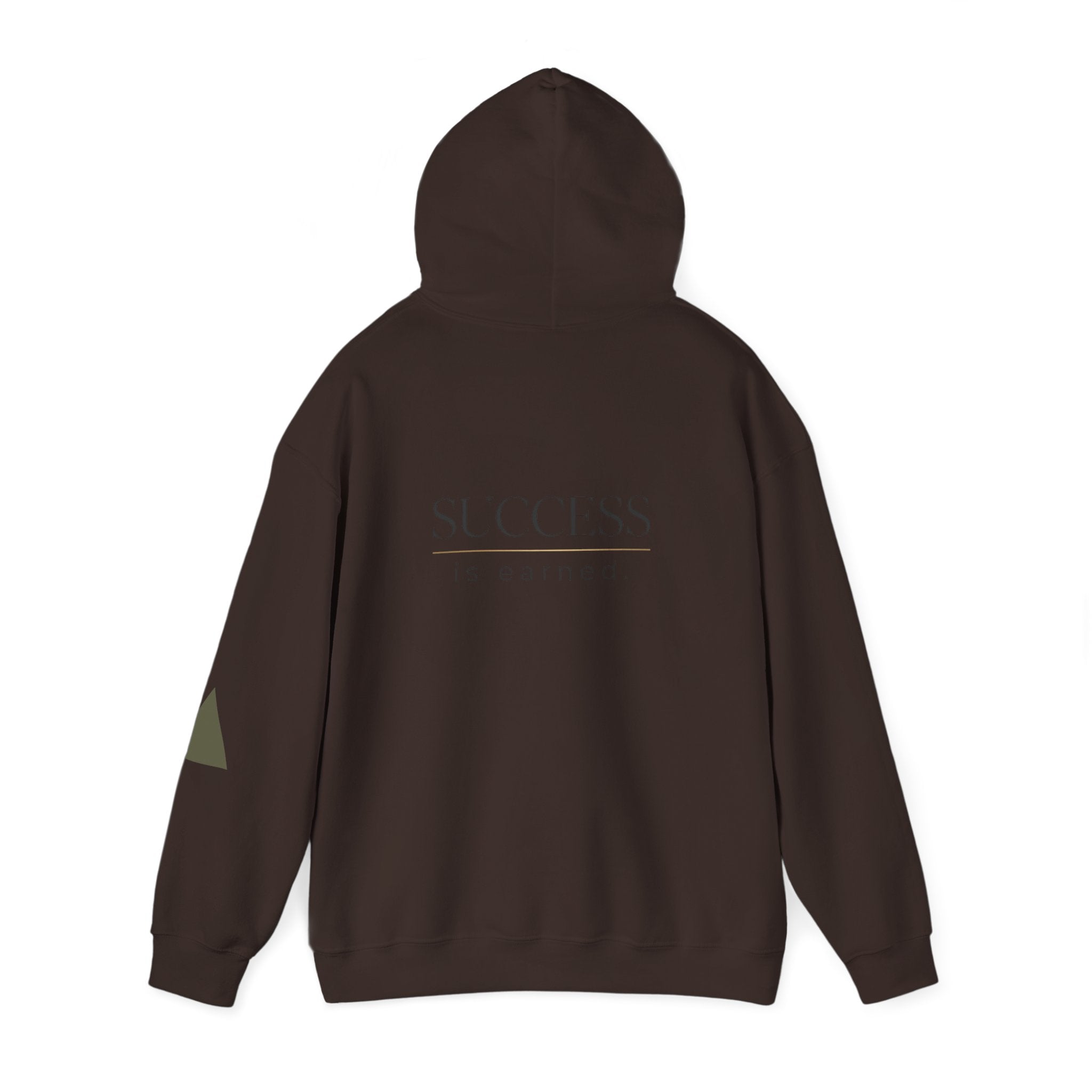 Built Different Hoodie — "Success Is Earned" Motivational Pullover