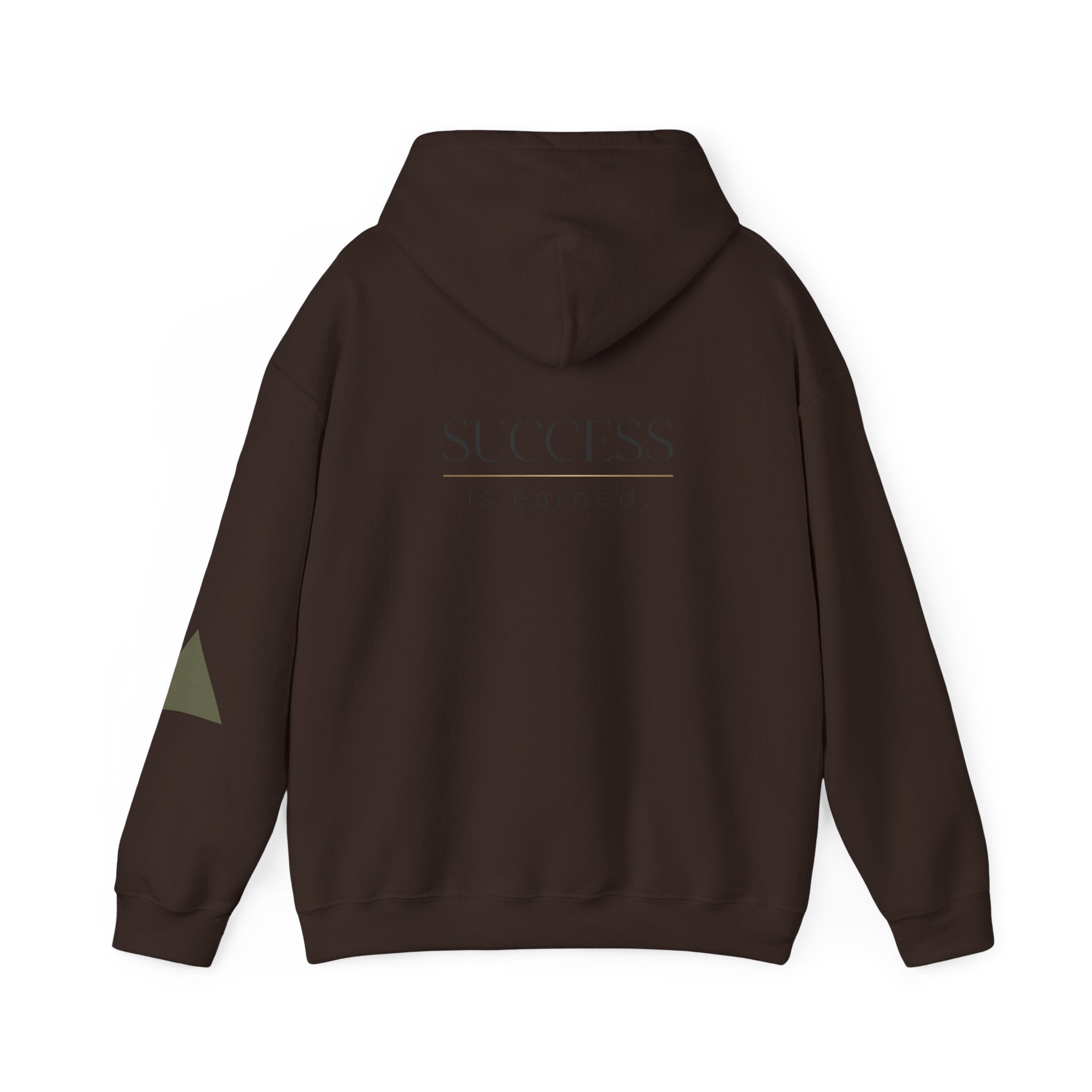 Built Different Hoodie — "Success Is Earned" Motivational Pullover